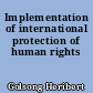 Implementation of international protection of human rights