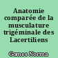Anatomie comparée de la musculature trigéminale des Lacertiliens