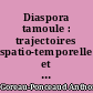 Diaspora tamoule : trajectoires spatio-temporelles et inscriptions territoriales en Île-de-France