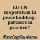 EU-UN cooperation in peacebuilding : partners in practice?