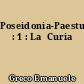 Poseidonia-Paestum : 1 : La  Curia