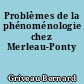Problèmes de la phénoménologie chez Merleau-Ponty