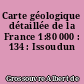Carte géologique détaillée de la France 1:80 000 : 134 : Issoudun