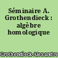 Séminaire A. Grothendieck : algèbre homologique