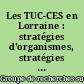 Les TUC-CES en Lorraine : stratégies d'organismes, stratégies de jeunes