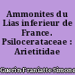 Ammonites du Lias inferieur de France. Psilocerataceae : Arietitidae
