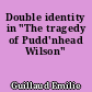 Double identity in "The tragedy of Pudd'nhead Wilson"