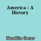 America : A History