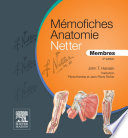 Mémofiches anatomie Netter : Membres