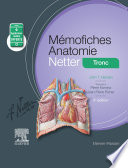 Mémofiches anatomie Netter : Tronc