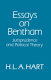 Essays on Bentham : studies in jurisprudence and political theory