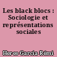 Les black blocs : Sociologie et représentations sociales