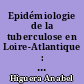 Epidémiologie de la tuberculose en Loire-Atlantique : Cas observés et déclarés en 1995-1996