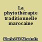 La phytothérapie traditionnelle marocaine