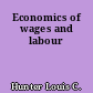 Economics of wages and labour