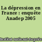 La dépression en France : enquête Anadep 2005
