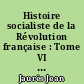Histoire socialiste de la Révolution française : Tome VI : Le Gouvernement révolutionnaire