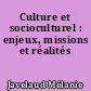 Culture et socioculturel : enjeux, missions et réalités