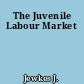 The Juvenile Labour Market
