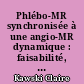 Phlébo-MR synchronisée à une angio-MR dynamique : faisabilité, pertinence diagnostique