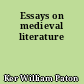 Essays on medieval literature