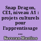 Snap Dragon, CE1, niveau A1 : projets culturels pour l'apprentissage de l'anglais : guide pédagogique