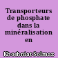 Transporteurs de phosphate dans la minéralisation en odontologie