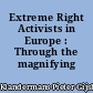 Extreme Right Activists in Europe : Through the magnifying glass