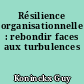 Résilience organisationnelle : rebondir faces aux turbulences