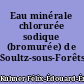Eau minérale chlorurée sodique (bromurée) de Soultz-sous-Forêts