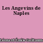 Les Angevins de Naples