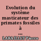 Evolution du système masticateur des primates fossiles à l'homme actuel