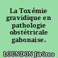 La Toxémie gravidique en pathologie obstétricale gabonaise.