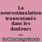 La neurostimulation transcutanée dans les douleurs chroniques : à propos de 44 cas traités à la consultation de la douleur de la Clinique Neurochirurgicale de Nantes