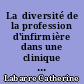 La  diversité de la profession d'infirmière dans une clinique privée de Nantes