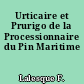 Urticaire et Prurigo de la Processionnaire du Pin Maritime