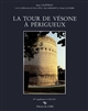 La Tour de Vésone à Périgueux : temple de Vesunna Petrucoriorum