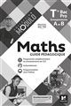 Mathématique : Tle Bac Pro groupements A et B : guide pédagogique