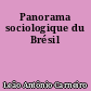 Panorama sociologique du Brésil