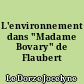 L'environnement dans "Madame Bovary" de Flaubert