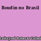 Boudin no Brasil
