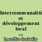 Intercommunalité et développement local : l'exemple du département de l'Aude