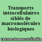 Transports intracellulaires ciblés de macromolécules biologiques
