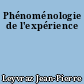 Phénoménologie de l'expérience