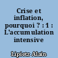 Crise et inflation, pourquoi ? : 1 : L'accumulation intensive