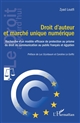 Droit d'auteur et marché unique numérique : recherche d'un modèle efficace de protection au prisme du droit de communication au public français et égyptien