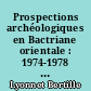 Prospections archéologiques en Bactriane orientale : 1974-1978 : Vol. 2 : Céramique et peuplement du chalcolithique à la conquête arabe