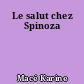 Le salut chez Spinoza