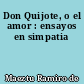 Don Quijote, o el amor : ensayos en simpatia
