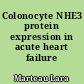 Colonocyte NHE3 protein expression in acute heart failure